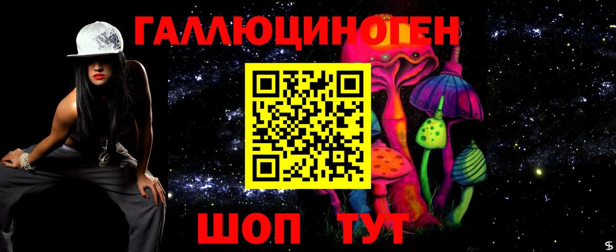 Галлюциногенные грибы Psilocybe  Вход с VPN  Обнинск 